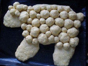 ovza-iz-testa